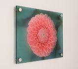 Concise clear acrylic photo frames /wall mounted plexiglass picture holder / decorative lucite block