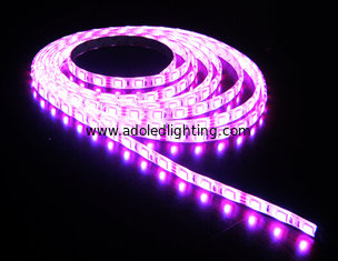 China LED Flexiable Strips SMD5630 IP20 single color DC12V 60pcs one meter supplier