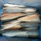Frozen fish Seafood of Atlantic Mackerel Scomber Scombrus Fillets Made in China