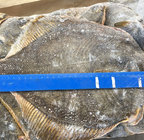 Wholesale Alaska waters frozen seafood frozen yellow fin sole fish for japanese sushi food good quality