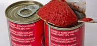 Canned food 28-30%,36-38% brix tomato paste/ Tomato ketchup/Tomato souce