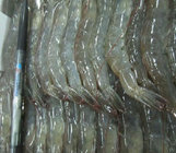 wholesale seafood Frozen vannanmei shrimp