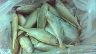 Good price Fresh Sea Frozen High Quality W/R Frozen Yellow Croaker 200-300g 300-400g for sale