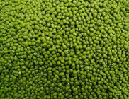 Green Vigna Beans Green mung beans of China Origin for good quality