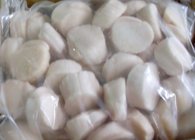 40/60,60/80 scallop from China supplier frozen scallop iqf seafood