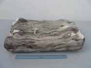 squid tentacle and wholesale frozen seafood fish