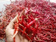 china food wholesale A grade Dried Red Chilli/ Red Pepper at affordable prices