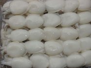 High Quality Whole Cuttle Fish/Cuttlefish Seafood  As Per Requirements Size good quality