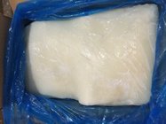 frozen giant squid fillet skin off in stock