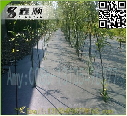 China pp woven black ground cover 70gsm~120gsm black ground cover