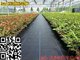 Anti Weed Mat/Landscape Fabric/PP weed mat from CHINA