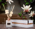120ml Glass Bottle Reed Diffuser with color box for Home Fragrance supplier