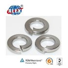Stainless Steel DIN125 Spring Washer/ Flat Washer