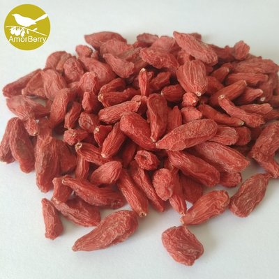 China Certified organic organic dried goji berries Bio bulk wholesale supplier
