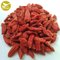 Amorberry China NingXia dried Goji berry Chinese Organic Sweet taste and Dried Style Goji Berries supplier