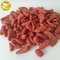 Certified organic organic dried goji berries Bio bulk wholesale supplier