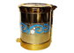 12 L Pedal type garbage can (1) supplier