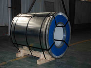 Professional g40 galvanized steel coil steel sheet steel plate