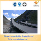 Industrial Conveying System Conveyor Belt (heat-resistant 200 degree)