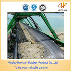 Chemical Resistant Conveyor Belt for Conveying Sludge (EP100-EP500)