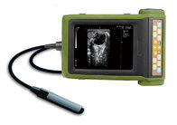 BCV53 Veterinary ultrasound scanner