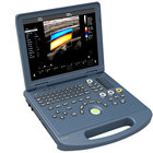 BCV60 Laptop color doopler ultrasound scanner for veterinary use