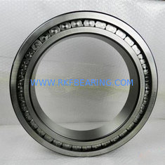 China INA SL181892 460x580x56mm full complement cylindrical roller bearing supplier