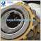 RN307M High Quality Double Row Eccentric Roller Bearing With Brass Gage supplier