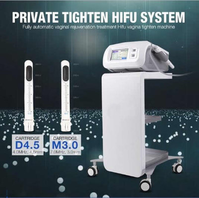 China HIFU vaginal tightening machine Korea technology personal health care 360 degree rotational hifu vaginal tightening supplier