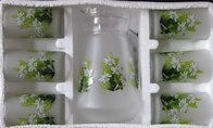 1500ml Glass Jug and Cup set with Fruite decal