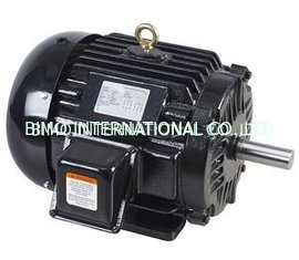 China TEFC NEMA Premium Efficiency Cast Iron AC Motor supplier