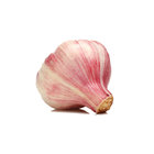 Fresh Red Garlic For Wholesale