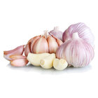 Fresh Cold Storage Purple Garlic