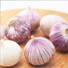 China Fresh Single Clove Purple Solo Garlic 3.5cm 10kg Carton