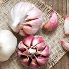 Fresh cold storage purple garlic