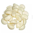 White pure fresh peeled garlic Large Quantity