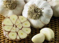 Chinese Fresh Peeled Garlic 1KG Per Jar Export To Israel