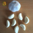 Chinese Fresh Peeled Garlic 1KG Per Jar Export To Israel