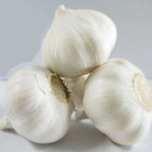 Chinese Fresh Pure White Garlic in 4p/net bag