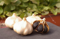 Natural Fermented Black Garlic Wholesale