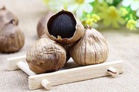 Organic nutritious health benefits whole bulb black garlic