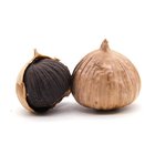 High quality organic fermented single solo black garlic