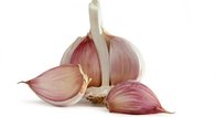 Hot sale red garlic from chinese farm