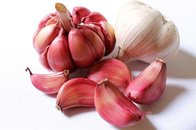 2019 Fresh Garlic red for export