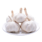 Chinese Normal White Fresh Garlic in 10kg mesh bag Packing