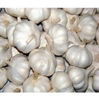 China all standards fresh normal/pure white fresh garlic 4 4.5 5.5 6cm for export