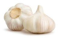Wholesale Importer Chinese Garlic Fresh