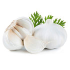 Fresh White Garlic with SGS Certificate