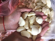 Hot Sale Peeled Garlic with Vacuumize Packing