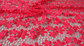Chemical lace with Red/Pink /Orange Color  + Embroidery 3 mm Sequin Lace Fabric supplier